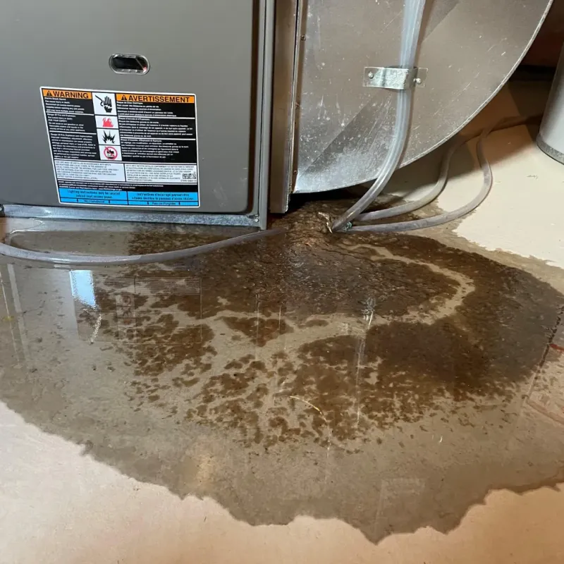 Appliance Leak Cleanup in Valencia, NM